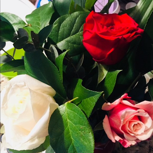 Meet your Posher, Tarika - Picture 1 of 1